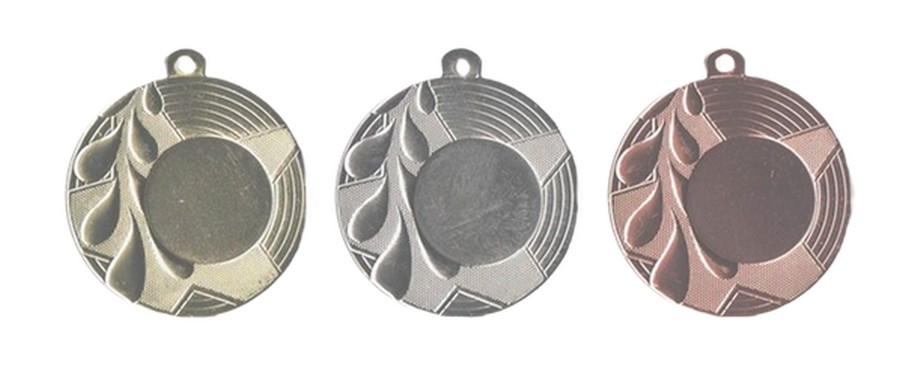 E 251 Medaille G/Z/B compleet OP=OP!!